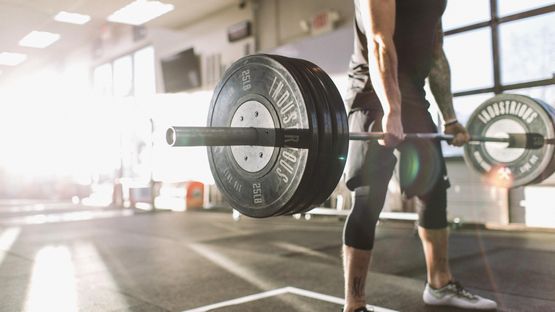 Steroids: Understanding Their Role and Impact