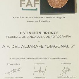 Distinción “Bronce” a Diagonal3 por la FAF
