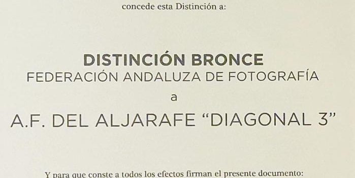 Distinción “Bronce” a Diagonal3 por la FAF