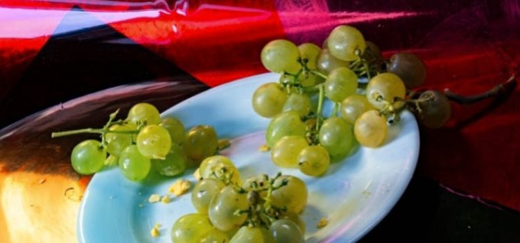 Taller “Construir un bodegón”