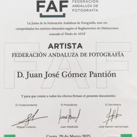 Diplomas de la FAF a socios de Diagonal3