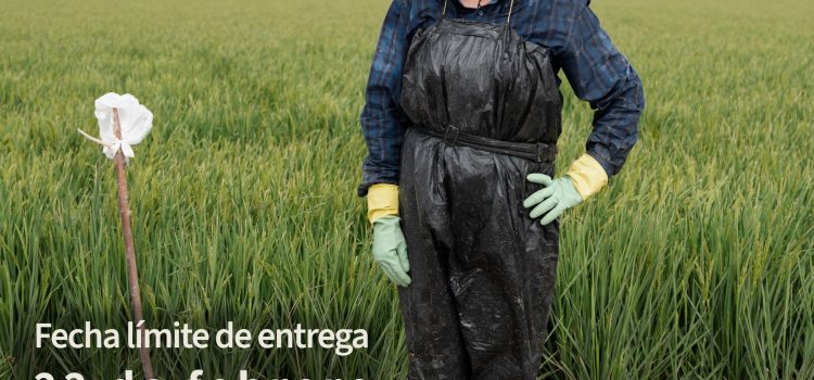 TEMA DEL MES: Febrero – RETRATO: OFICIOS